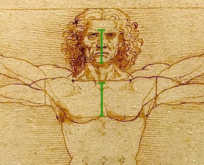 Annotated face proportion study with horizontal guide lines dividing the character's face into three equal segments from chin to hairline